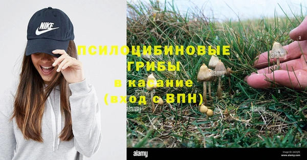 индика Алексин