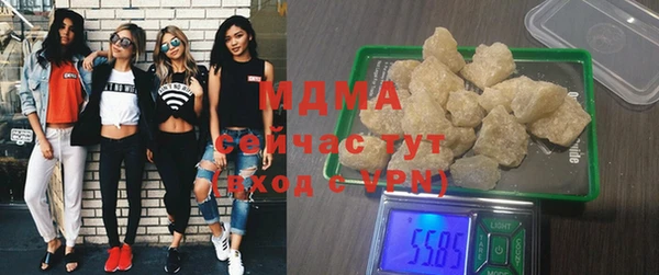 индика Алексин