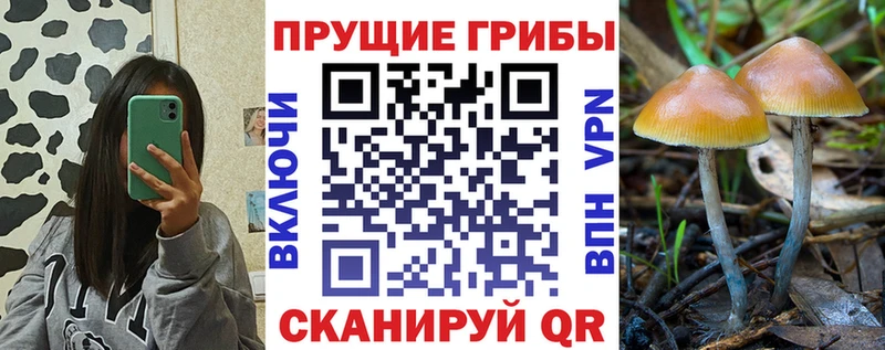Галлюциногенные грибы ЛСД Рудня