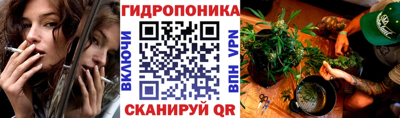 Конопля Bruce Banner Рудня
